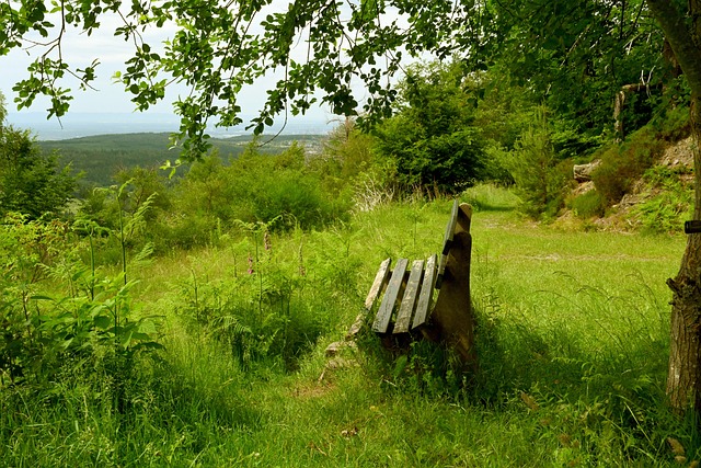 她们带着丰 她们带着丰