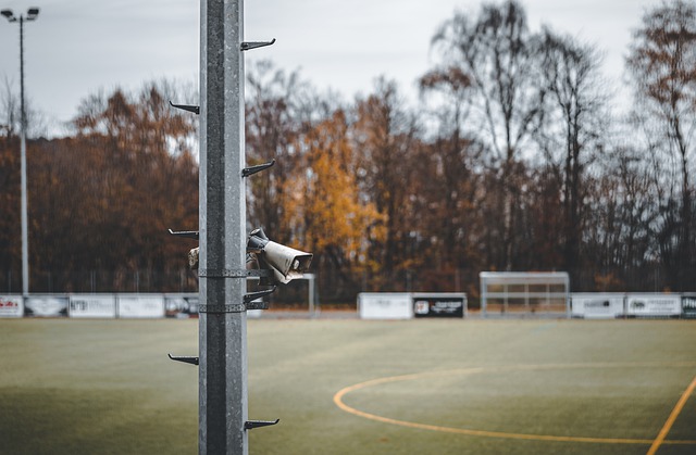 疑奠定了球 疑奠定了球