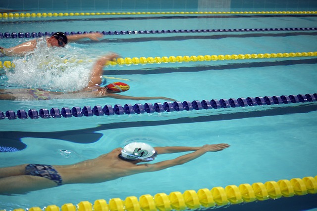 波尔津吉斯 波尔津吉斯