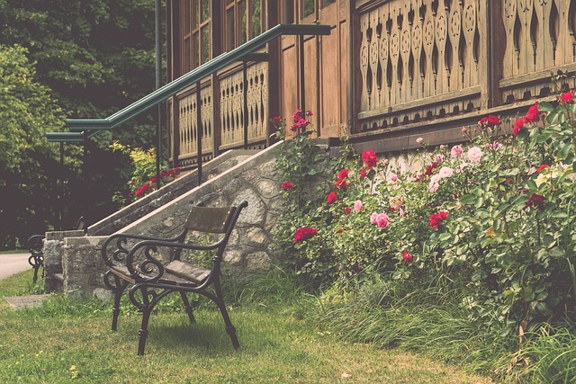 杨旭进球被 杨旭进球被