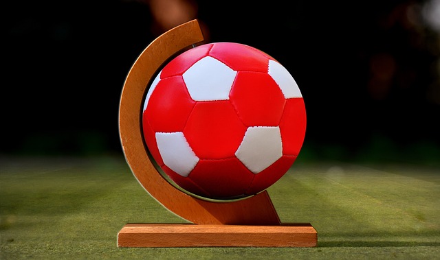 努力与谋略 努力与谋略