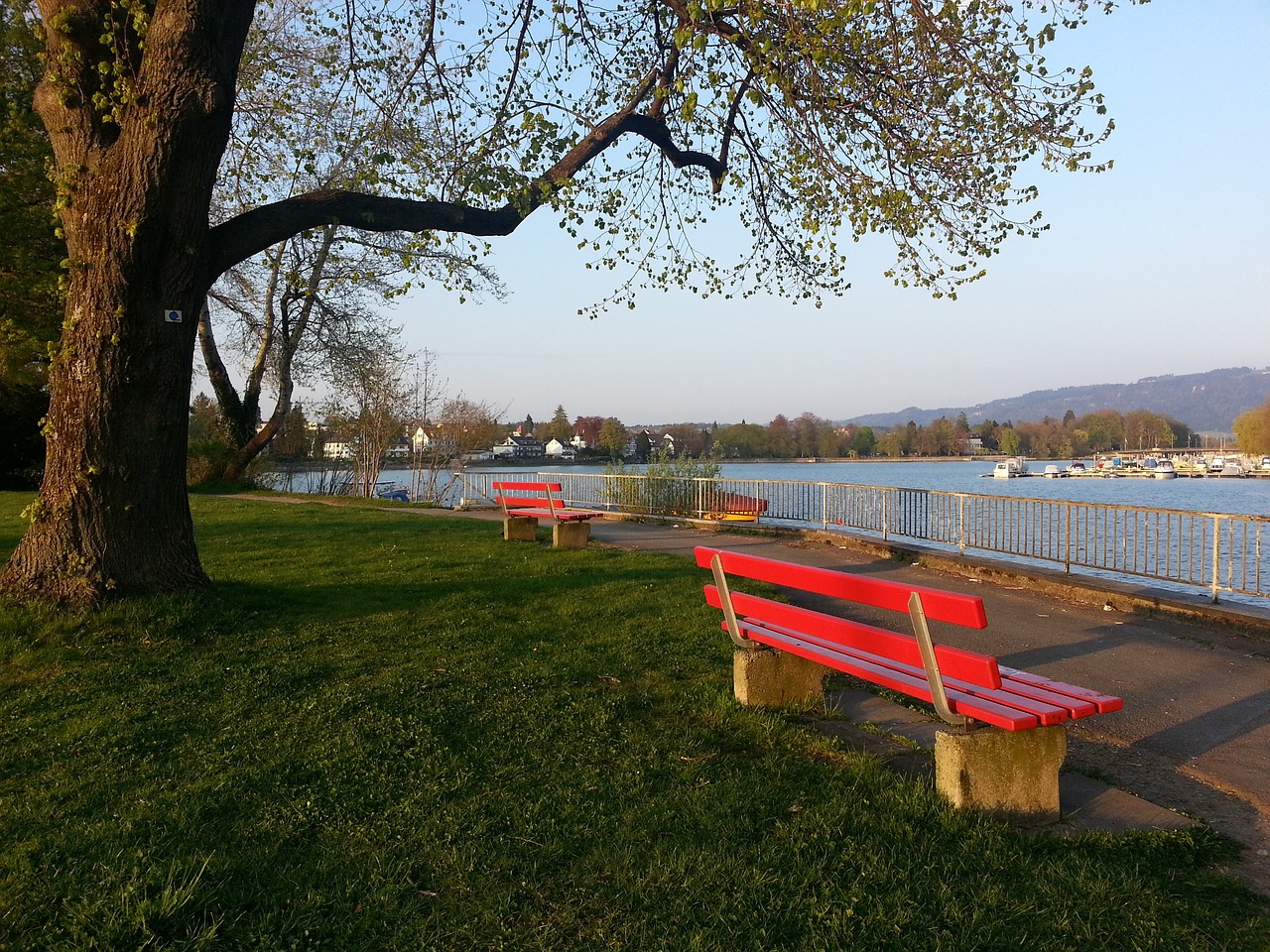 已经开始显 已经开始显