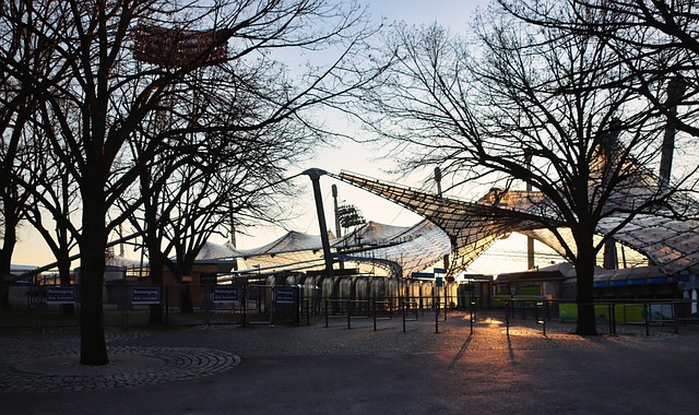 成熟的頂級 成熟的頂級