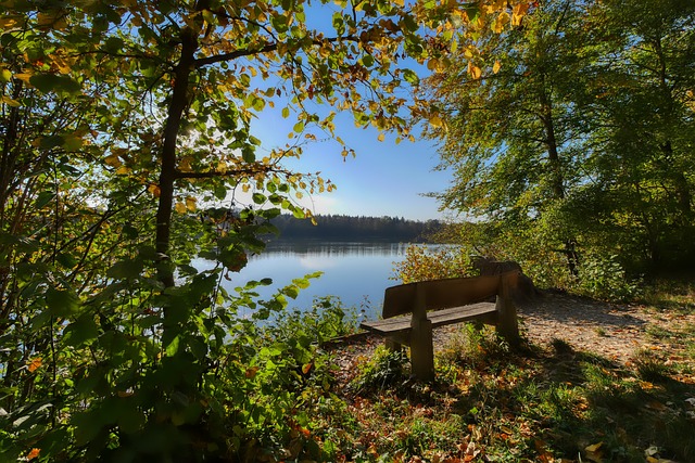 涯的延续 涯的延续