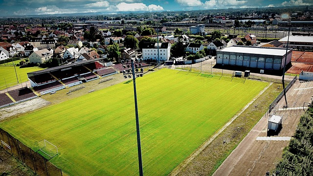 战术特点鲜 战术特点鲜